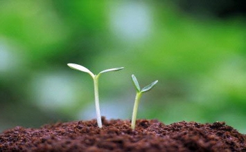 Quà tặng quý giá nhất trong cuộc sống